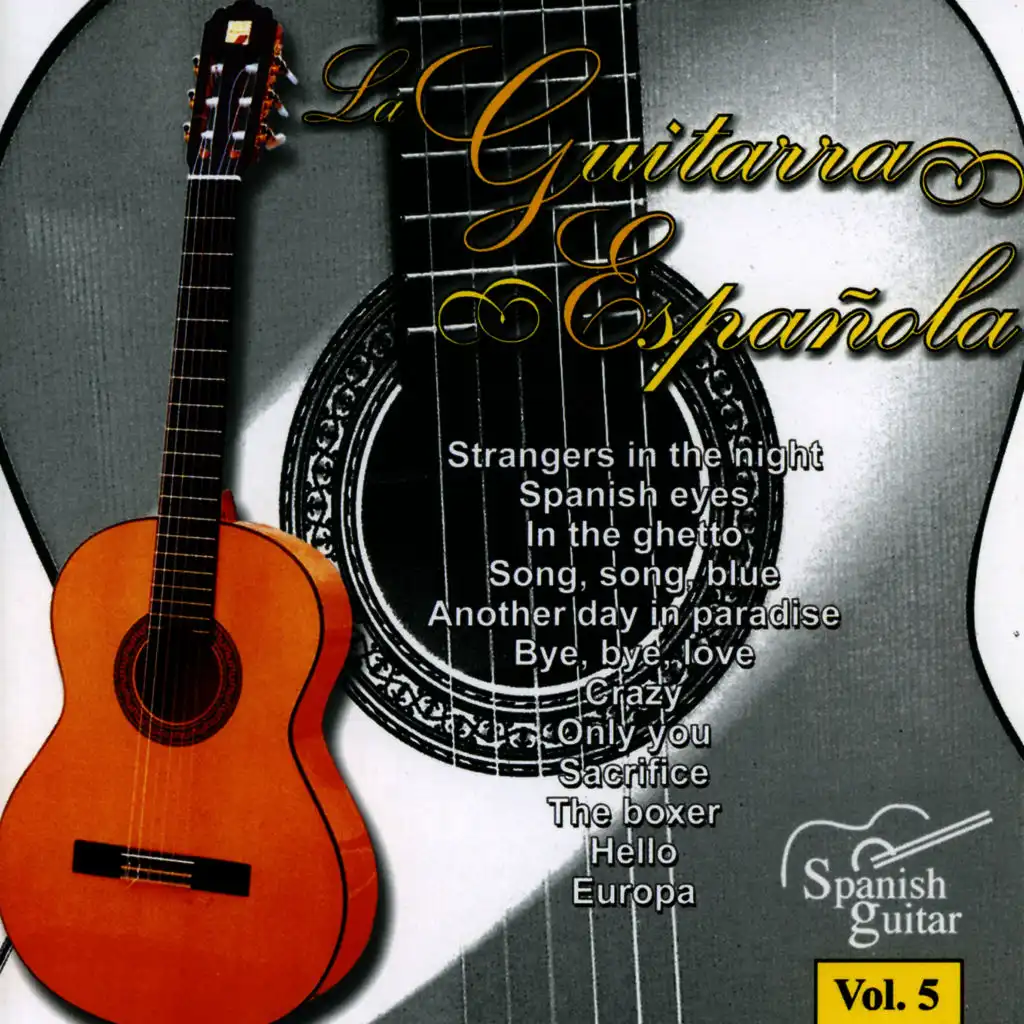 Spanish Guitar, Guitarra Española 5
