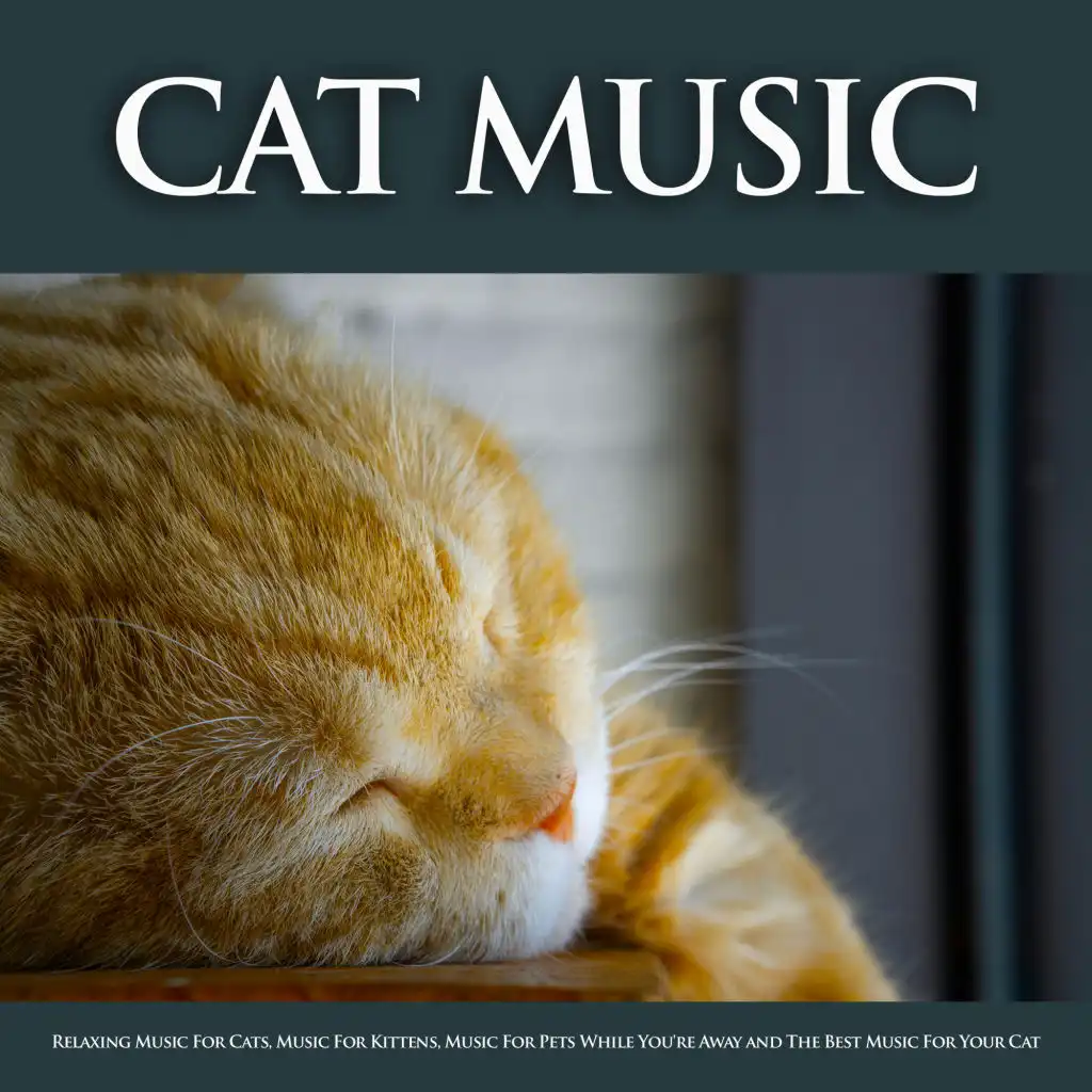 Pet Relaxation and Music For Pets