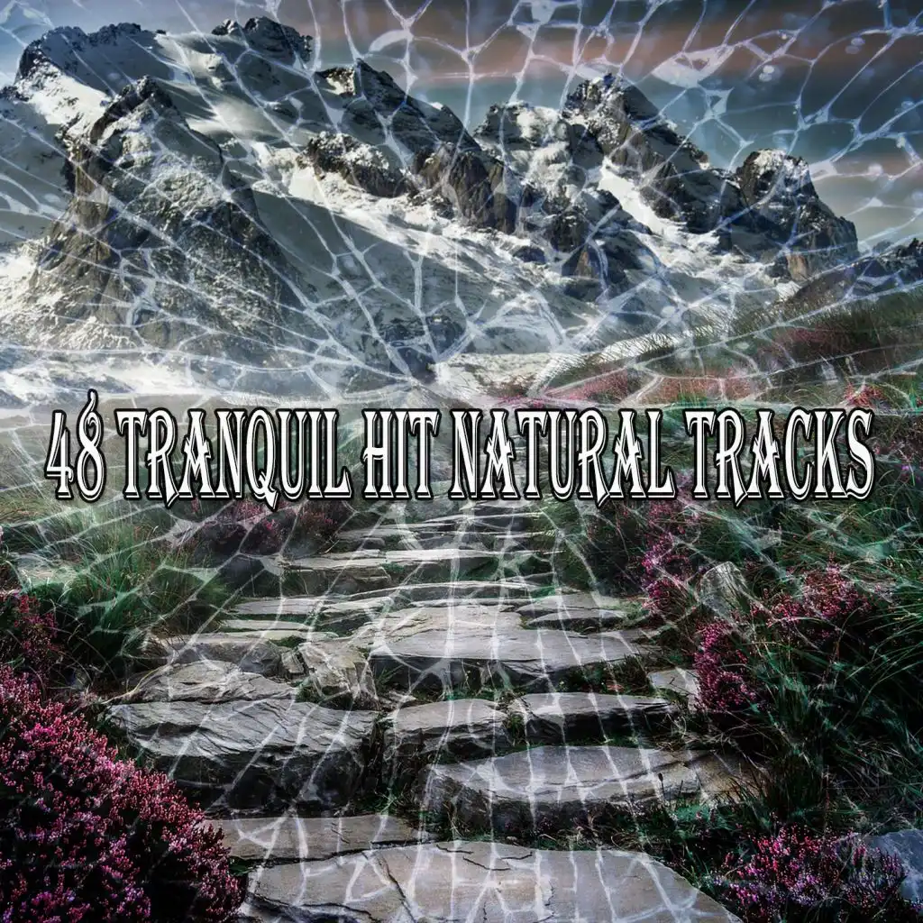 48 Tranquil Hit Natural Tracks