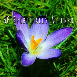 66 Spiritually Attuned