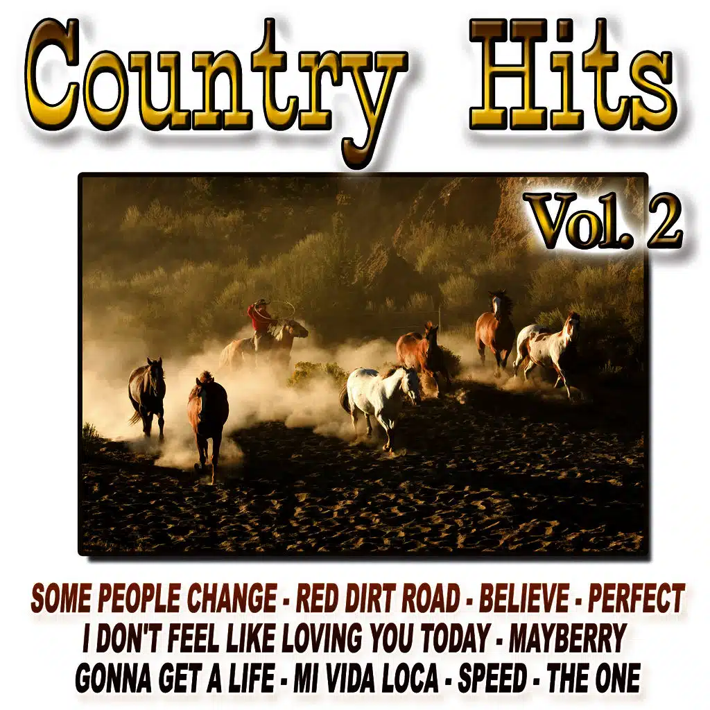 Country Hits Vol.2