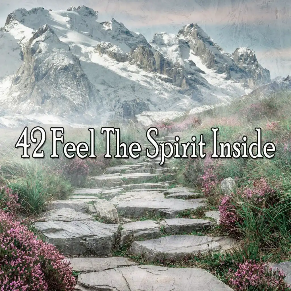 42 Feel the Spirit Inside