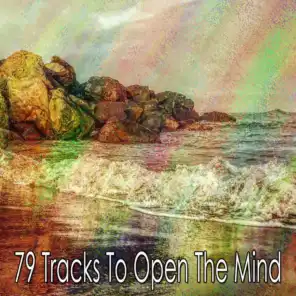 79 Tracks to Open the Mind