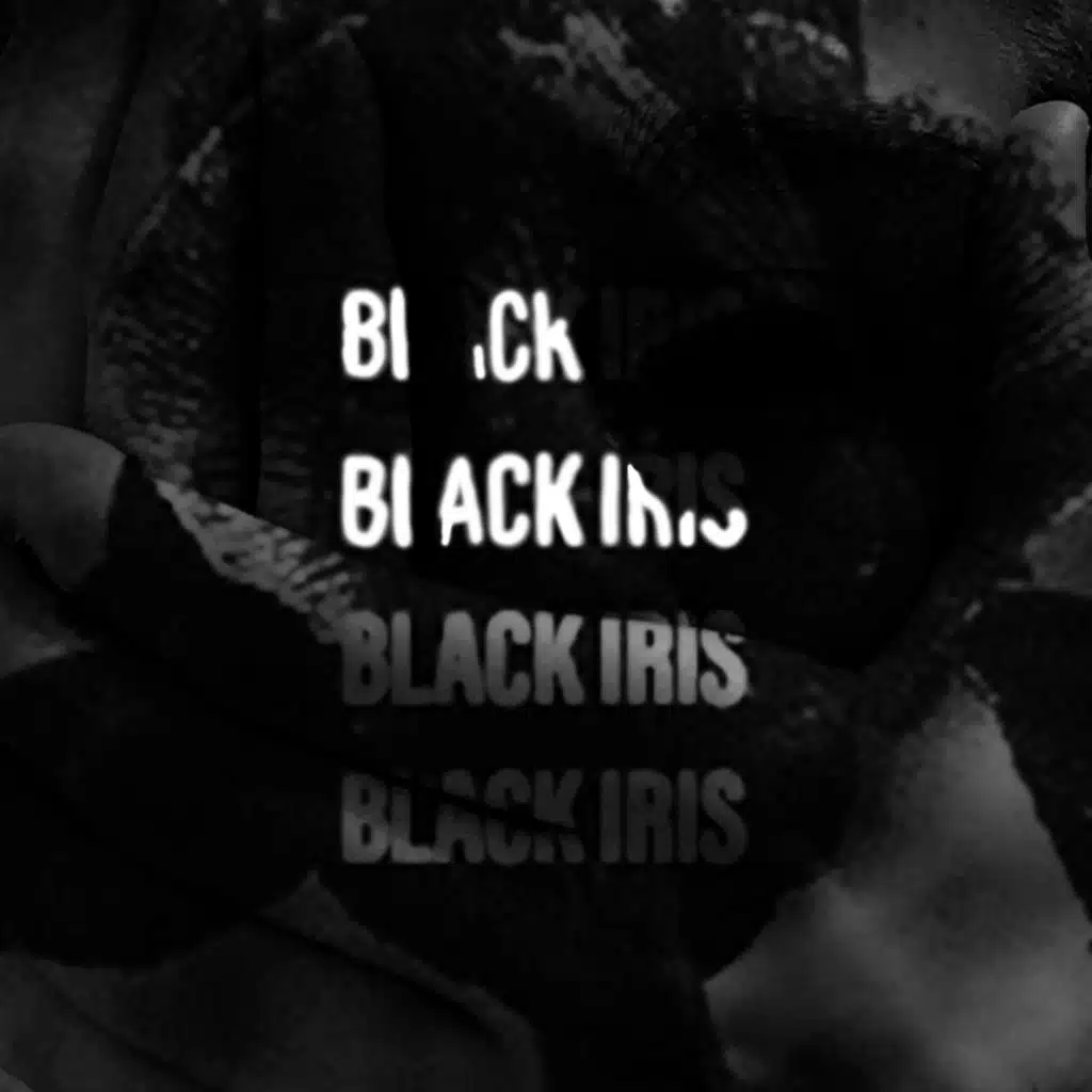 Black Iris