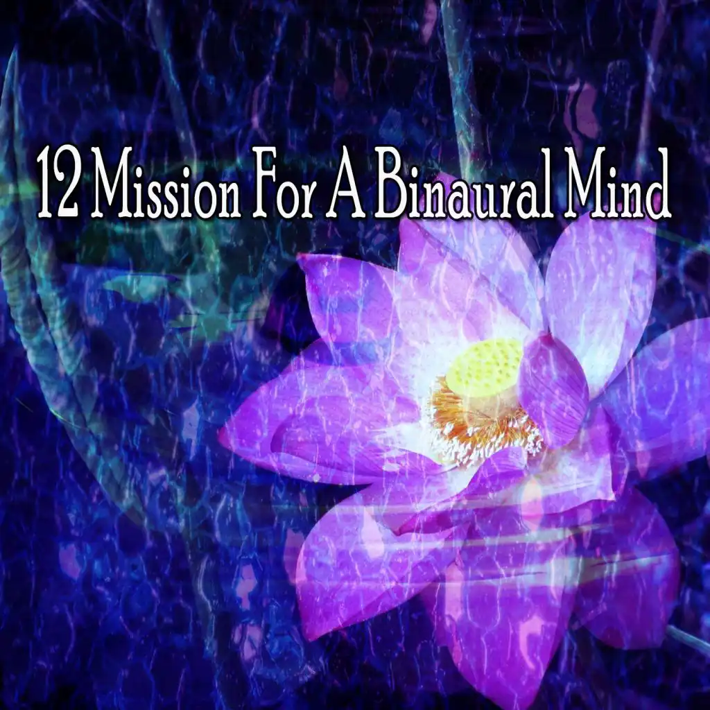 12 Mission for a Binaural Mind
