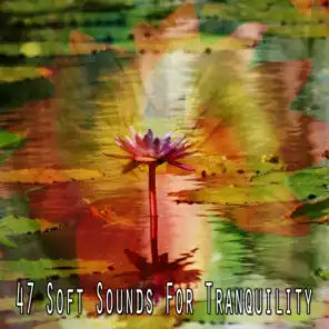 47 Soft Sounds for Tranquility