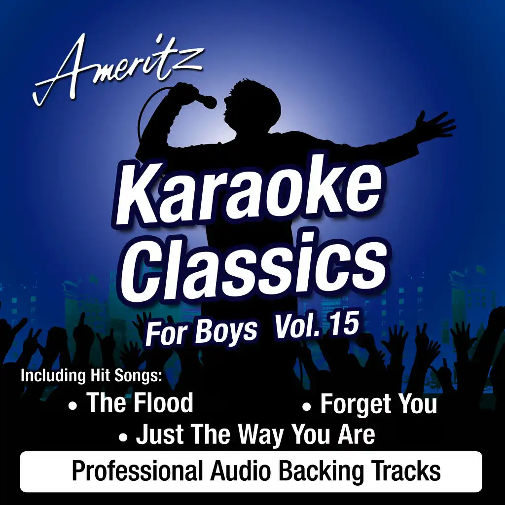 Karaoke Classics For Boys Vol. 15