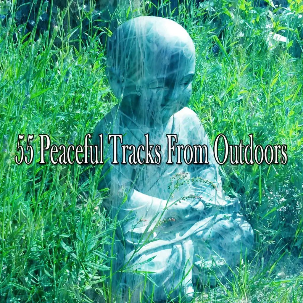 55 Peaceful Tracks from Outdoors
