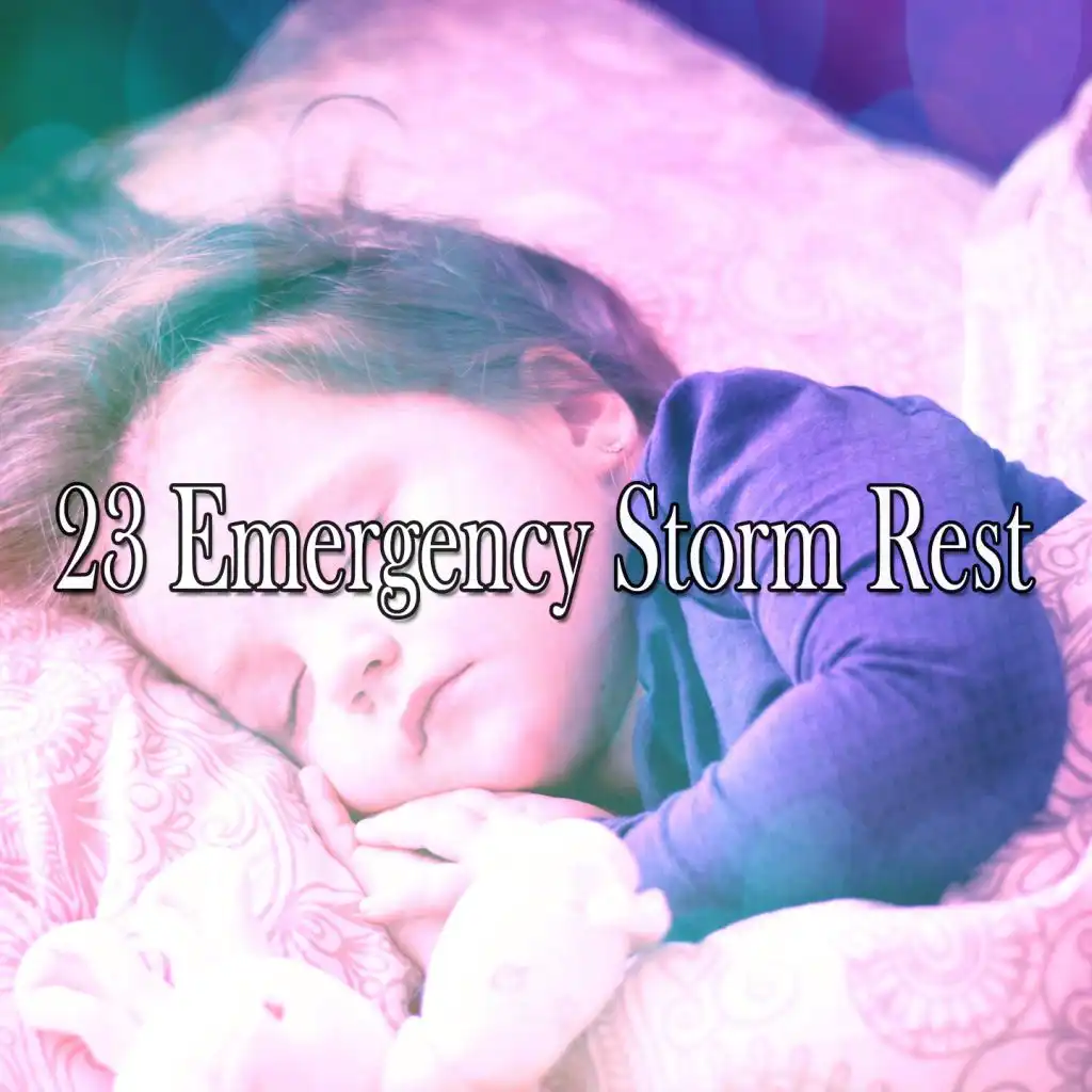 23 Emergency Storm Rest