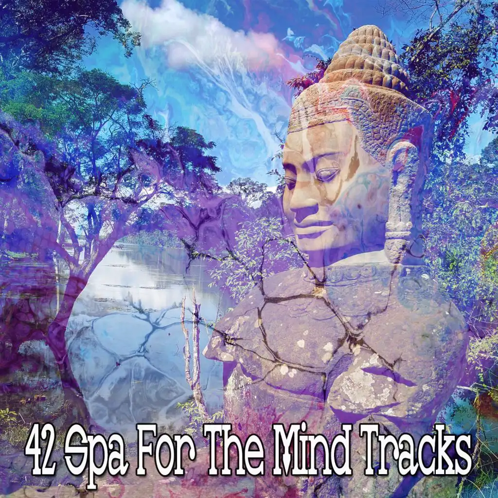 42 Spa for the Mind Tracks