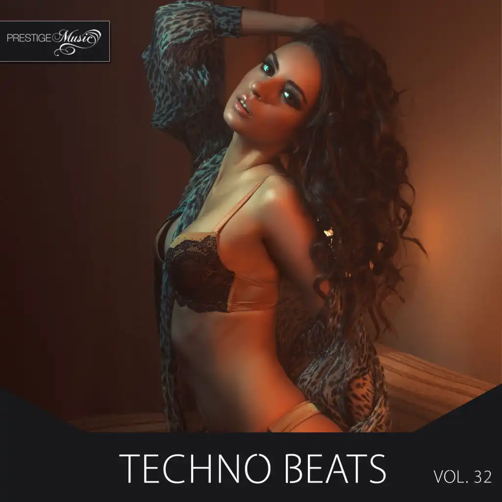 Techno Beats, Vol.32