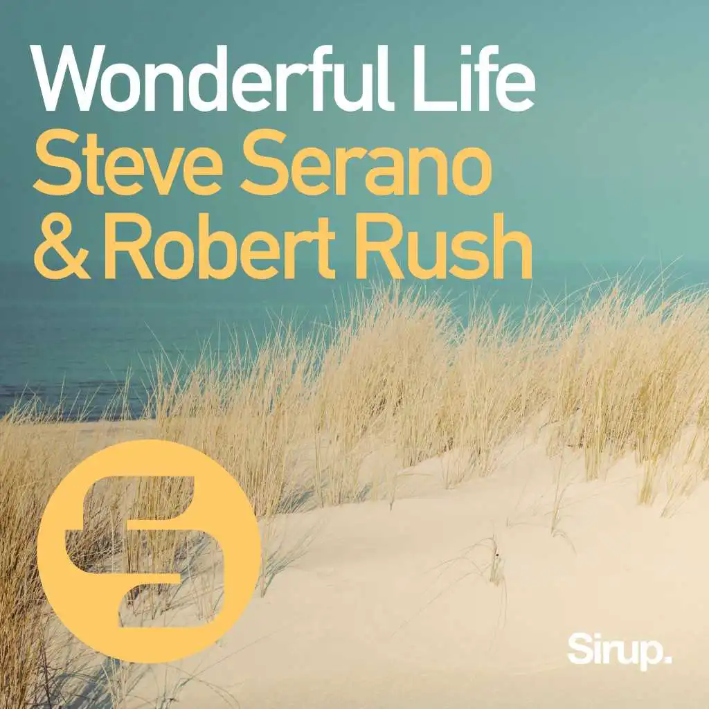 Wonderful Life (Original Club Mix)