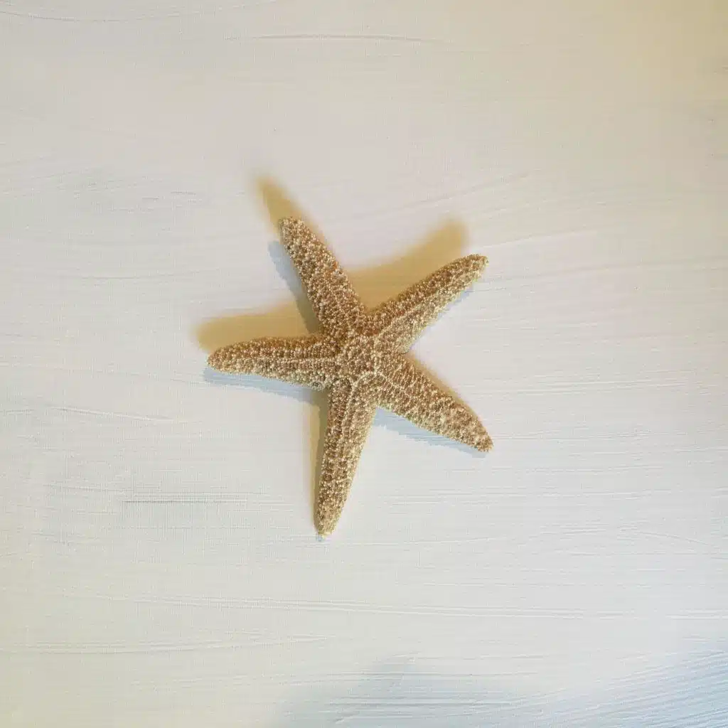 Racing the Sun / Catch Your Cold