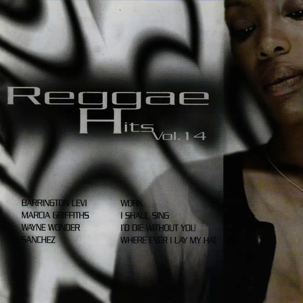 Reggae Hits Vol. 14