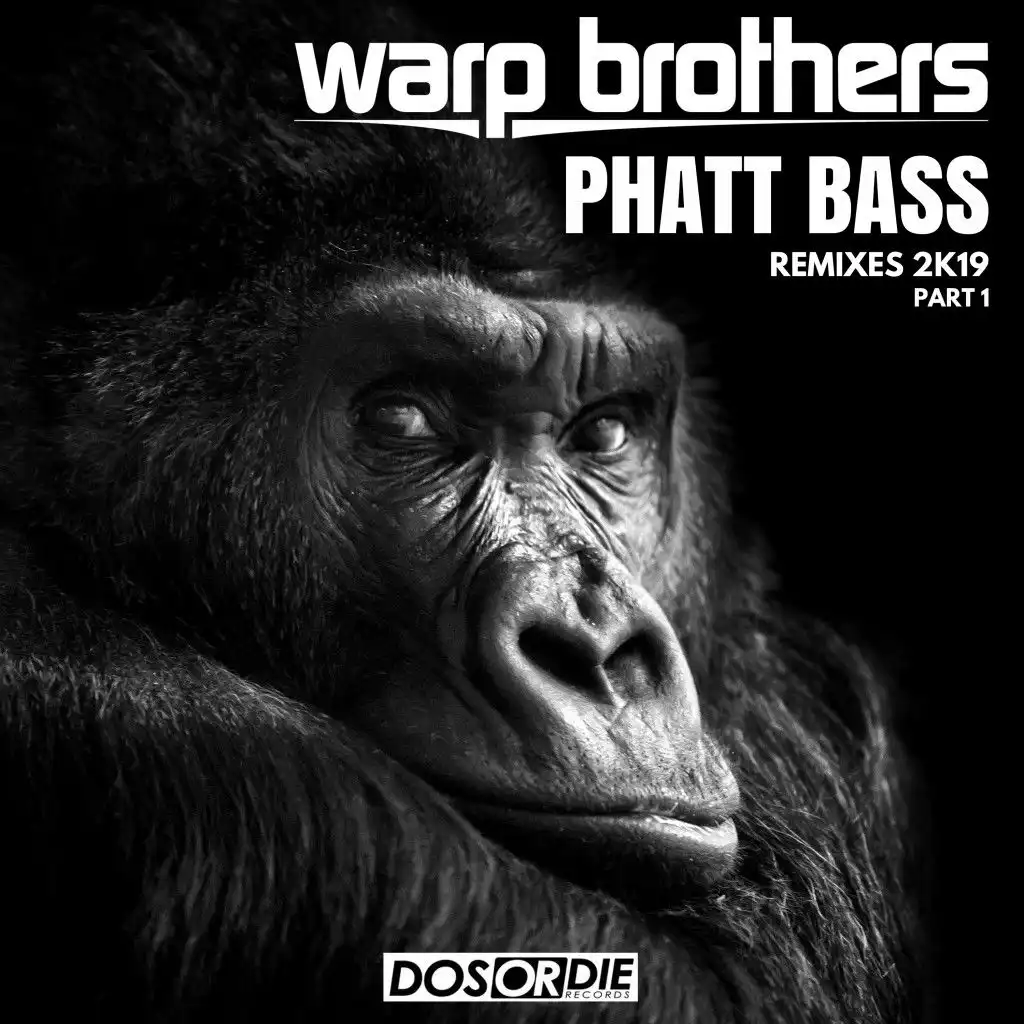 Phatt Bass (Luca Secco & Craftkind Power House Mix)