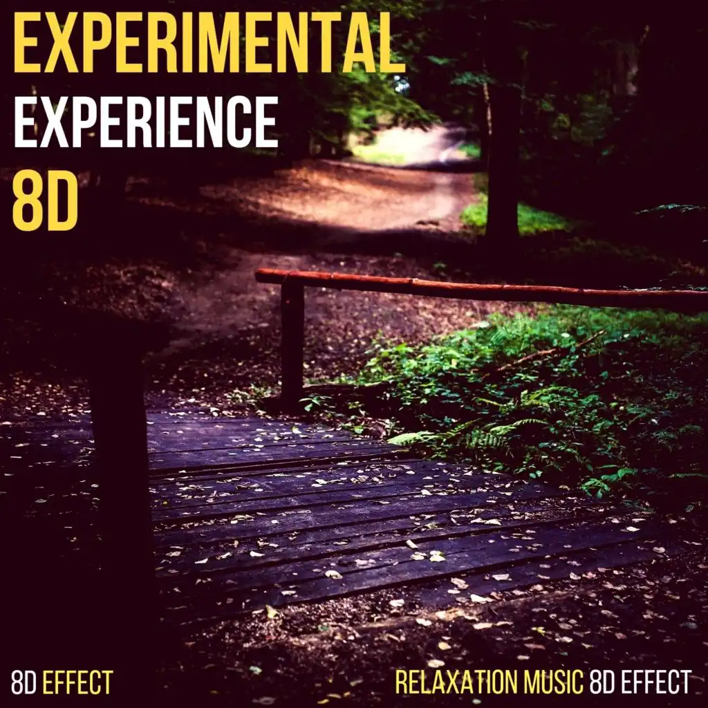 Experimental Experience 8D (Relaxation Music 8D Effect)