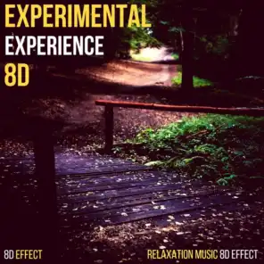 Experimental Experience 8D (Relaxation Music 8D Effect)