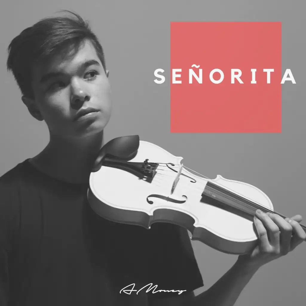 Señorita (Acoustic)