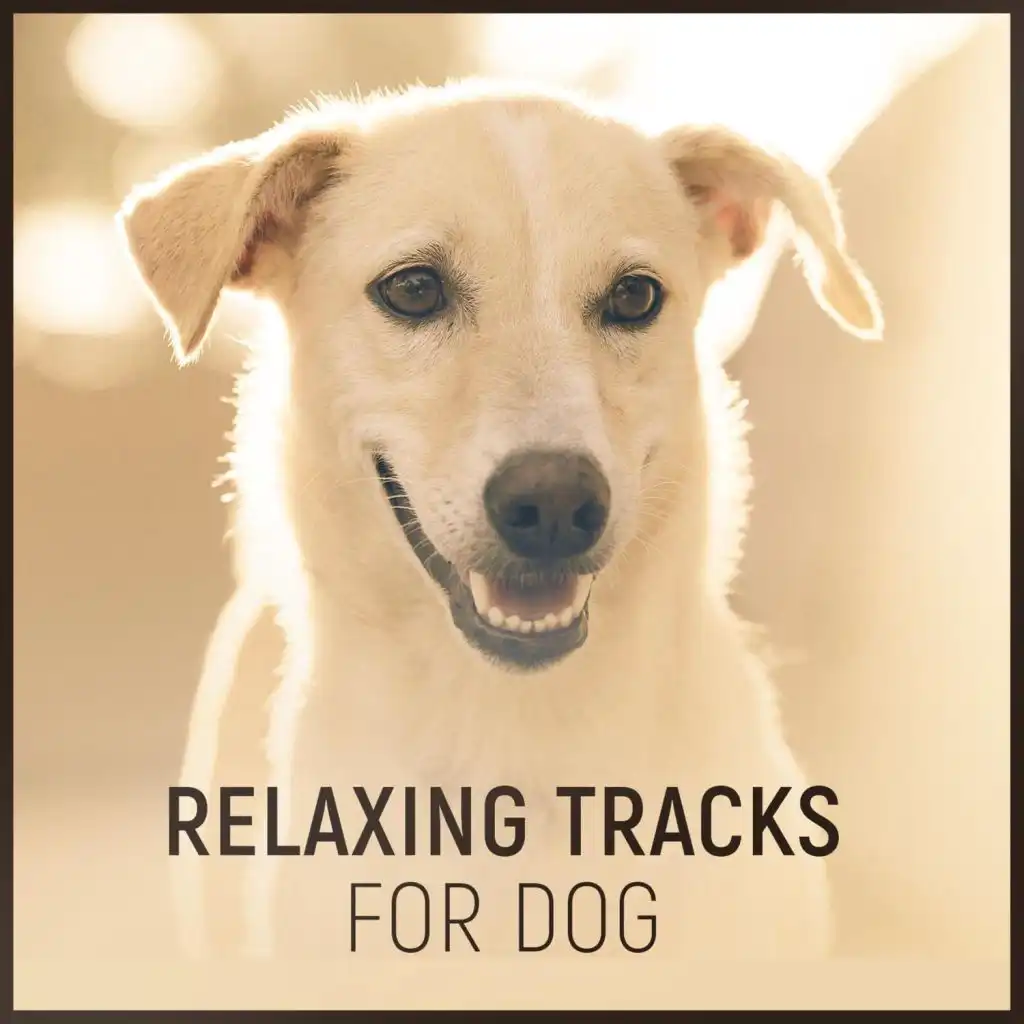 Relaxing Tracks for Dog – Natural Anxiety Relief with Calming Nature Sounds Music for Animal Reiki Therapy, Harmony and Peace