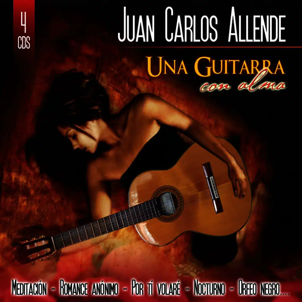Una guitarra con alma
