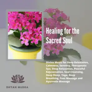 Healing For The Sacred Soul (Divine Music For Deep Relaxation, Calmness, Serenity, Therapeutic Spa, Deep Relaxation, Peaceful Rejuvenation, Soul Cleansing, Deep Sleep, Yoga, Deep Breathing, Foot Massage And Ayurveda Massage)
