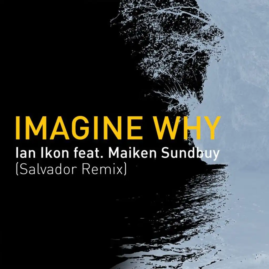 Imagine Why (Salvador Remix) [feat. Maiken Sundby]