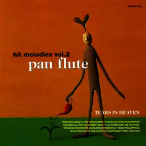 Tears in heaven - Pan flute melodies