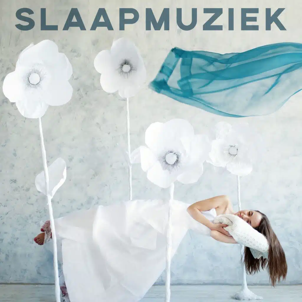Slaapmuziek