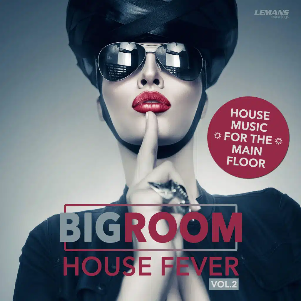 Bigroom House Fever, Vol. 2