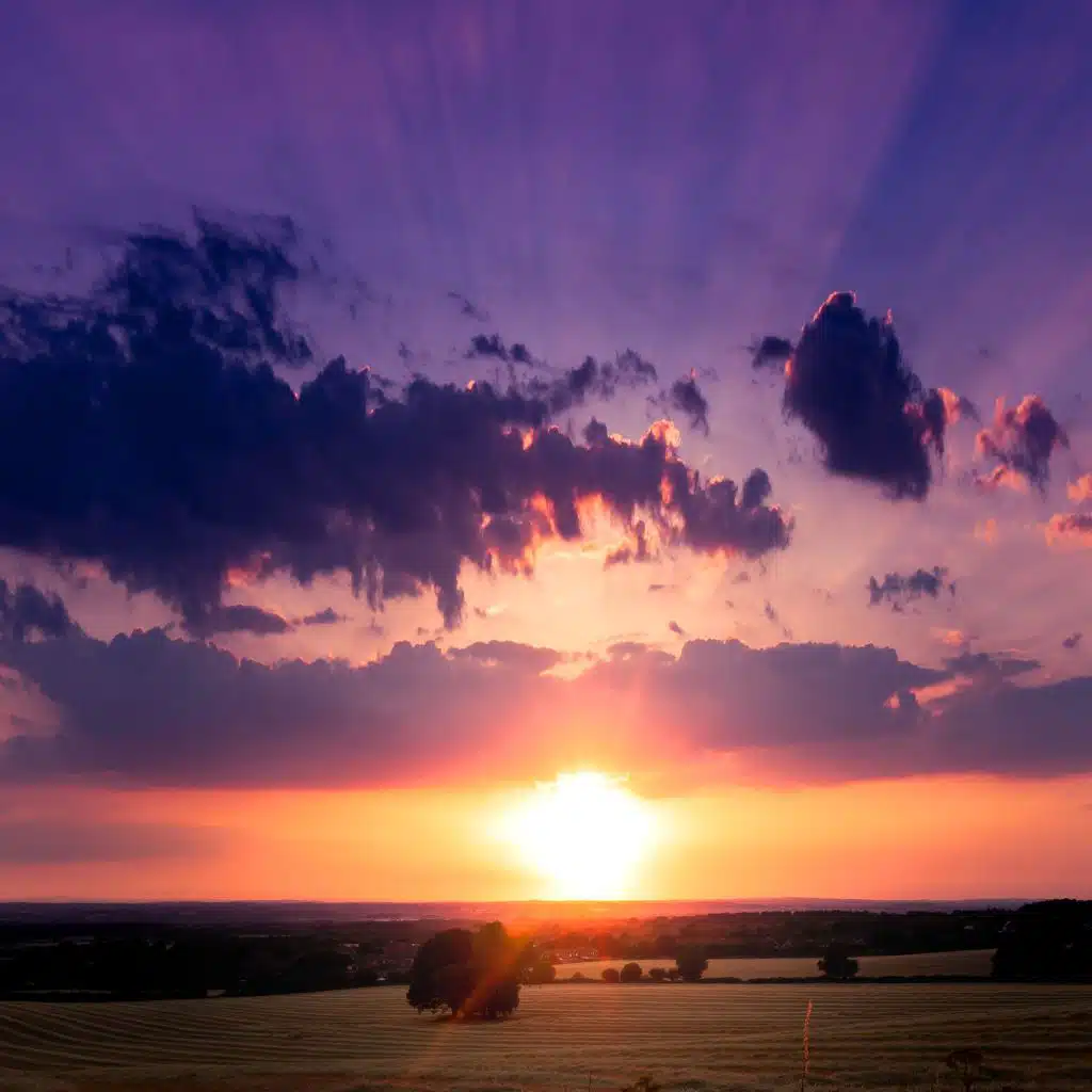 The Meditation Of Hope