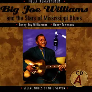 Big Joe Williams and the Stars of Mississippi Blues (A)