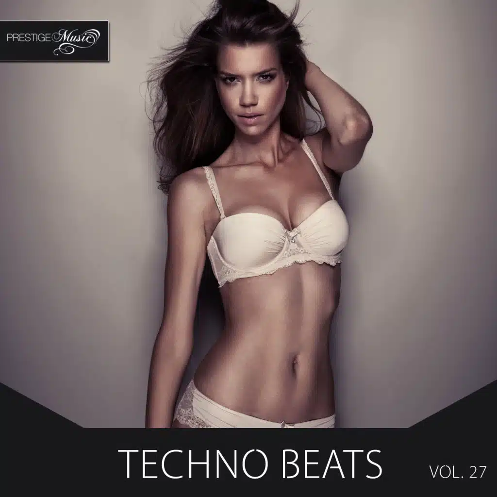 Techno Beats, Vol.27