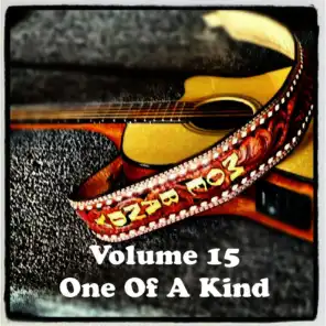 Volume 15 - One Of A Kind