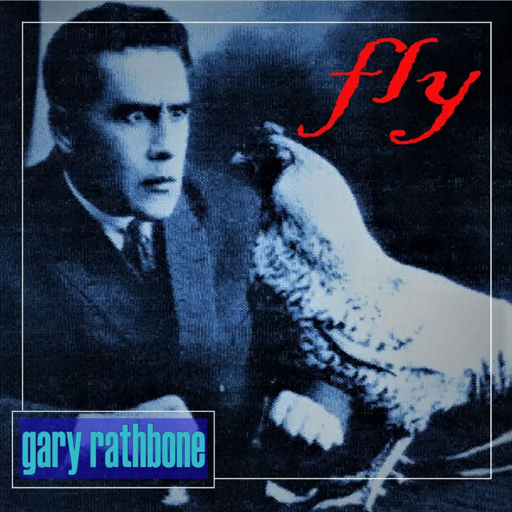 Fly