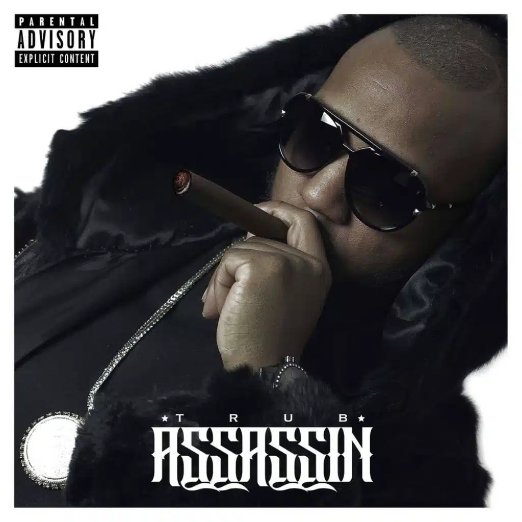 ASSASSIN