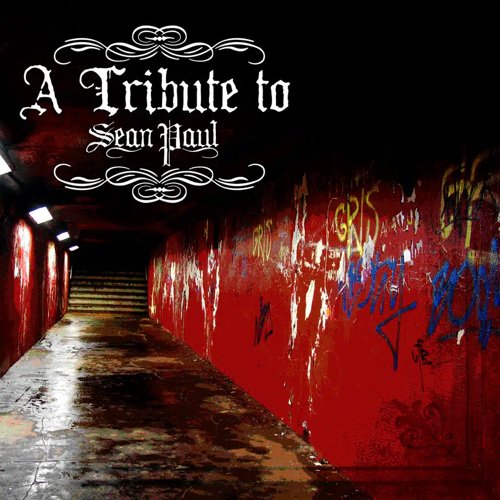 A Tribute To Sean Paul