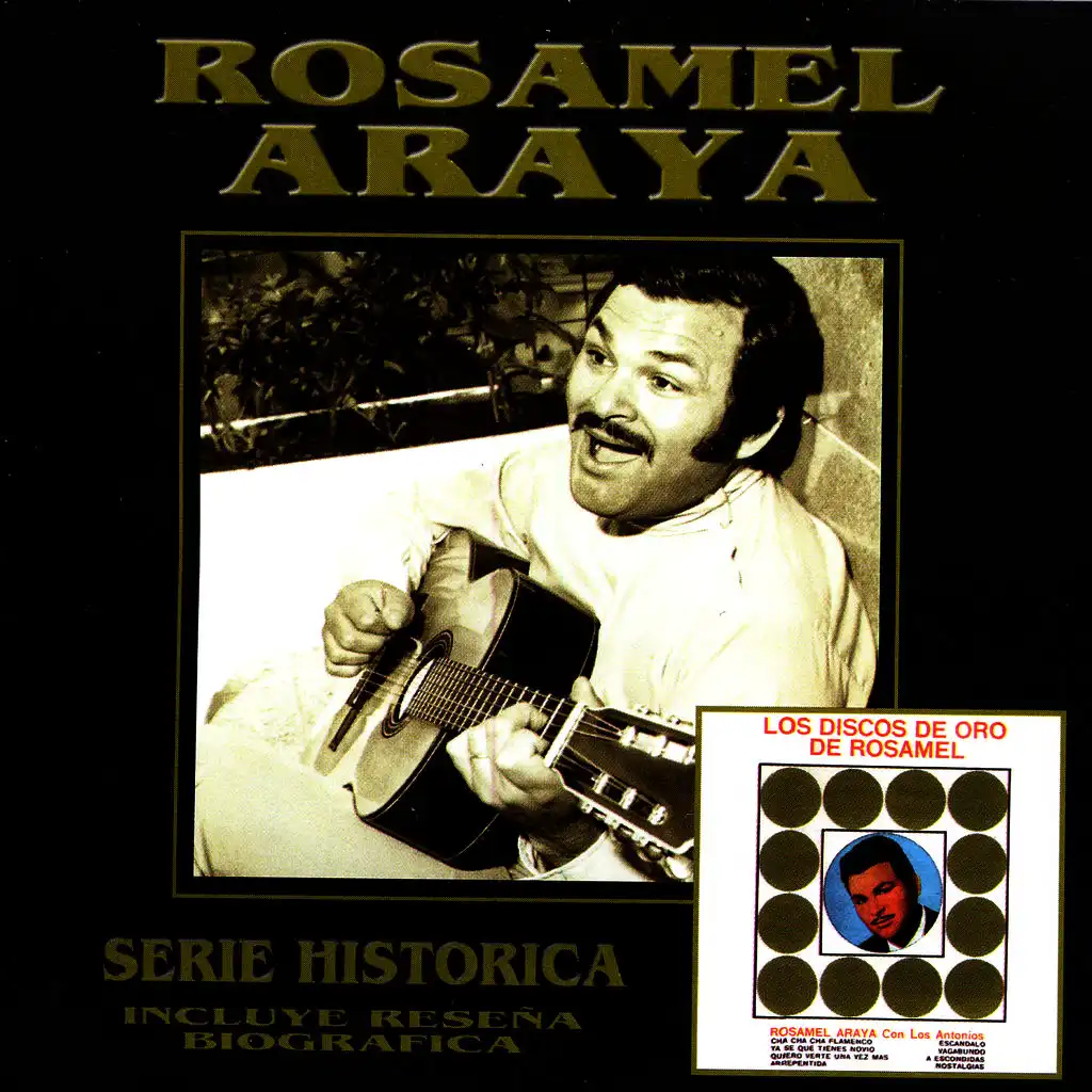 Serie Histórica: Rosamel Araya