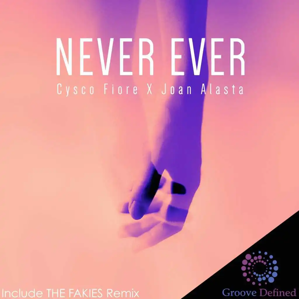 Never Ever (The Fakies Remix)