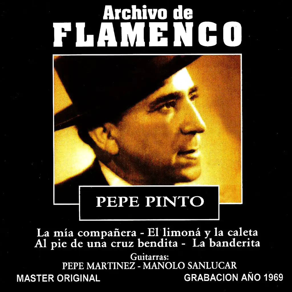 Archivo De Flamenco Vol.9 (Pepe Pinto)