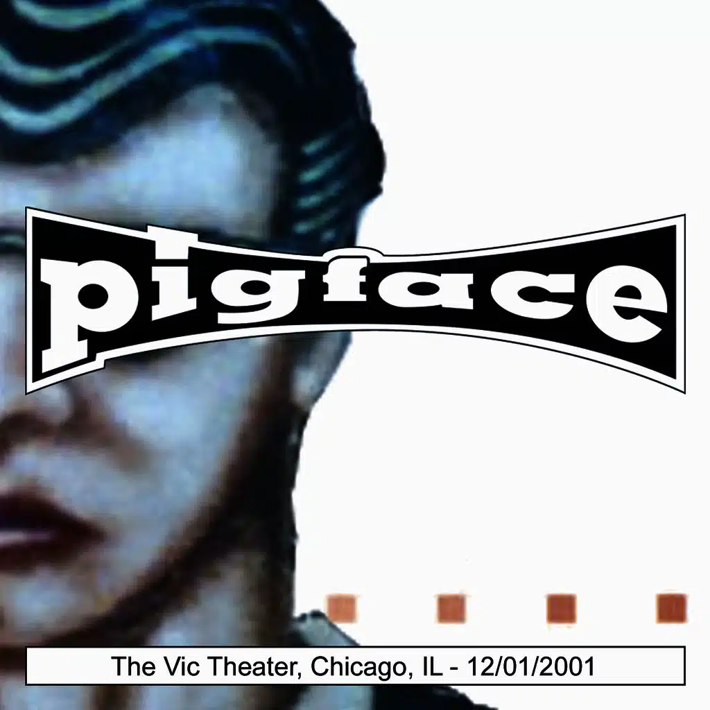 The Vic Theater, Chicago, IL 12/01/2001