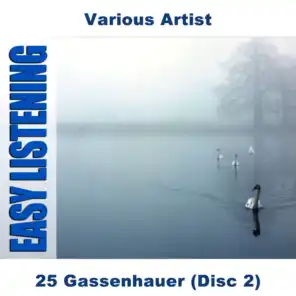 25 Gassenhauer (Disc 2)