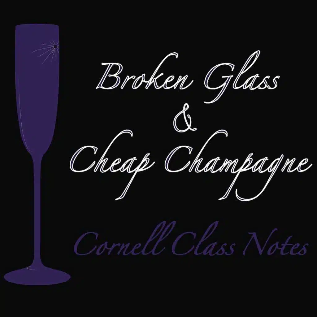 Broken Glass & Cheap Champagne
