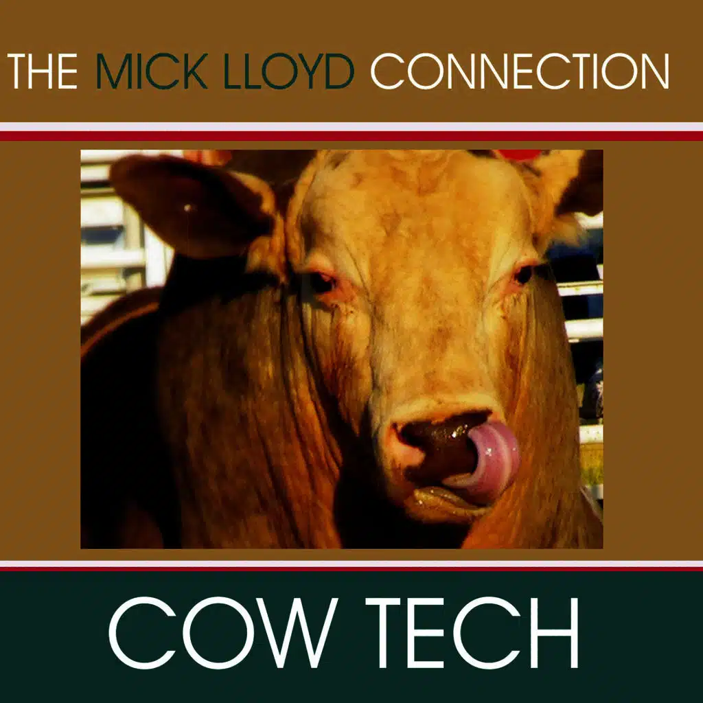 Midnight Confessions