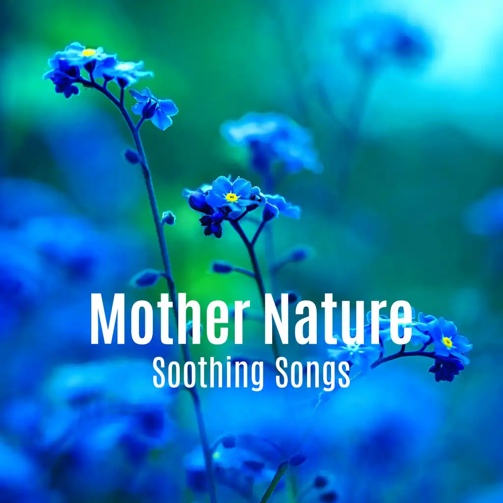 Mother Nature Soothing Songs: 2019 Nature Piano New Age Music Created for Soothing Moments, Total Relaxation, Calming Down, Stress Relief, Cure Depression, Soft Sounds of Rain, Waves, Streams, Birds & Many More