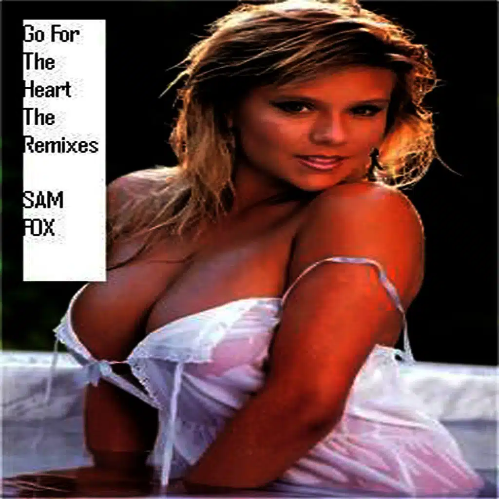 Go For the Heart - The Remixes
