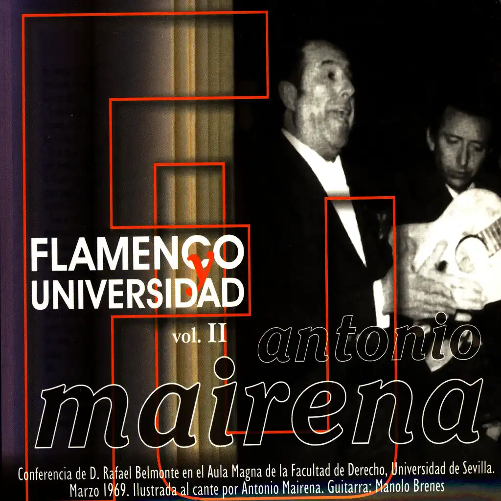 Flamenco Universidad vol.II