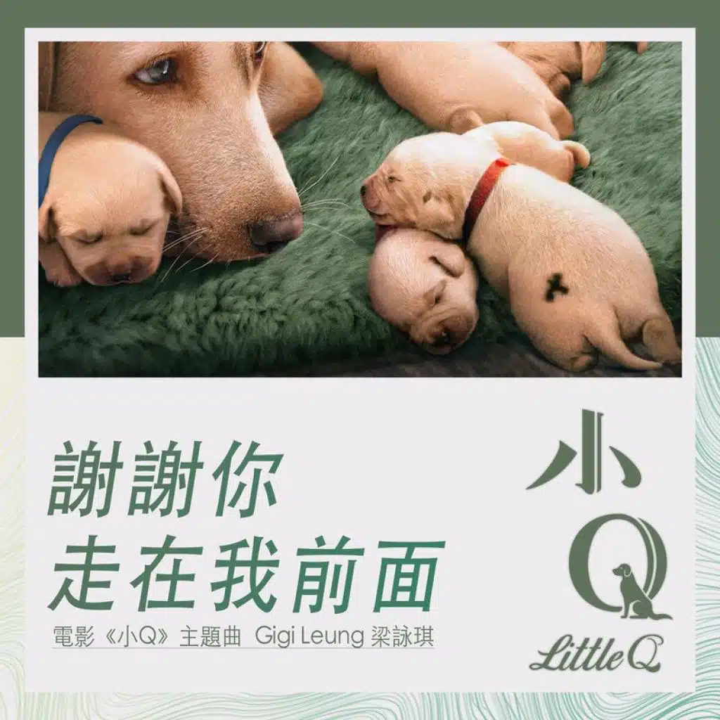 謝謝你走在我前面 (電影《小Q》主題曲)