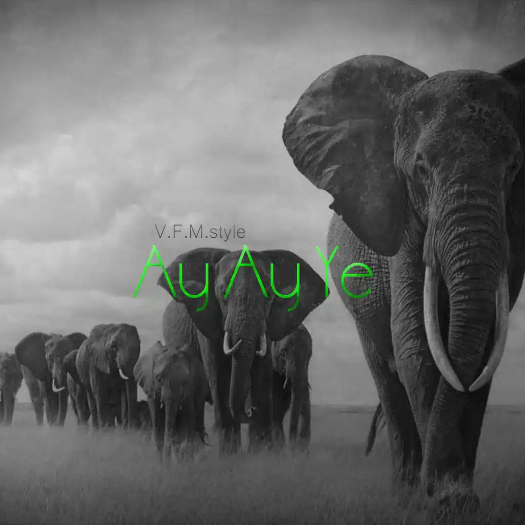Ay Ay Ye