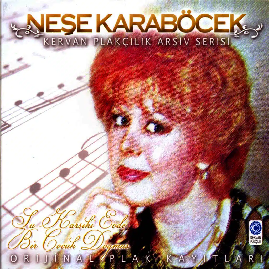 Şu Karşıki Evde Bir Çocuk Doğmuş