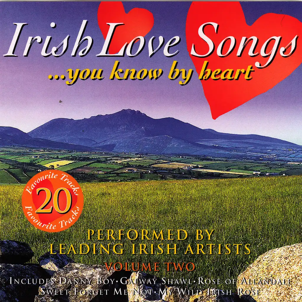 Irish Love Songs You Know By Heart - Volume 2